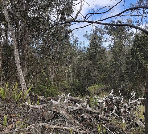 3rd image of Lehua Ln Lot 18