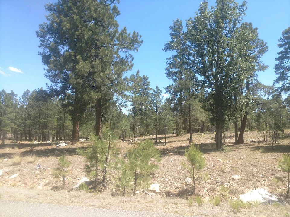 2nd image of 2863 Timber Ridge Cir