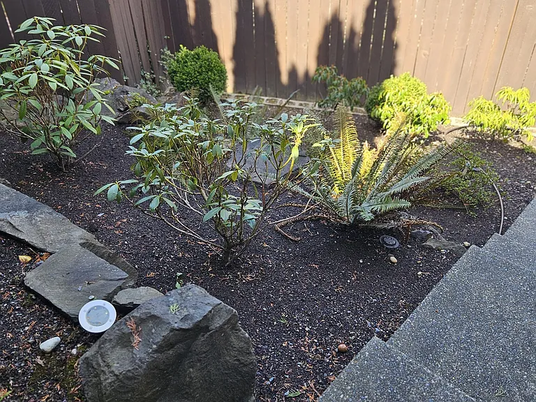 5309 115th Pl SE #B — Photo 30