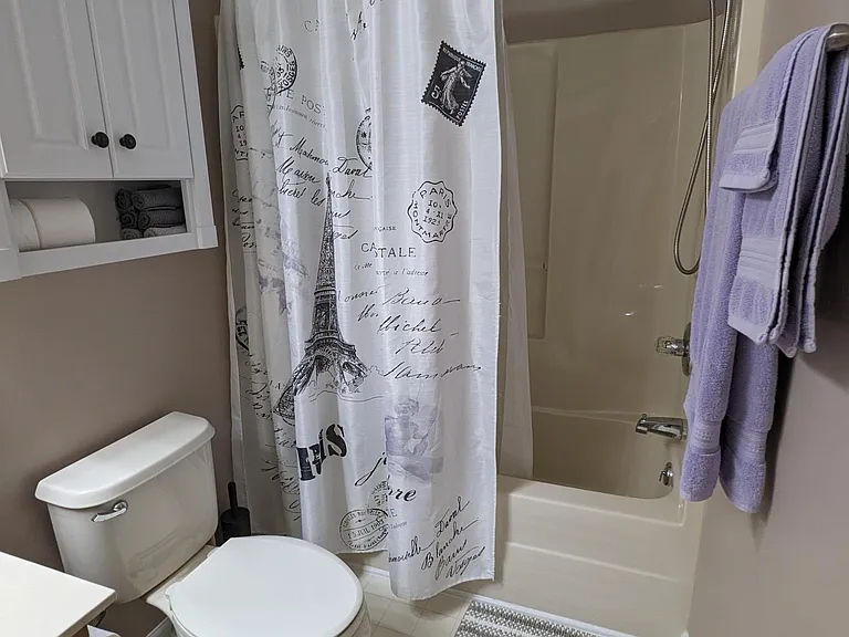 Curved shower rod