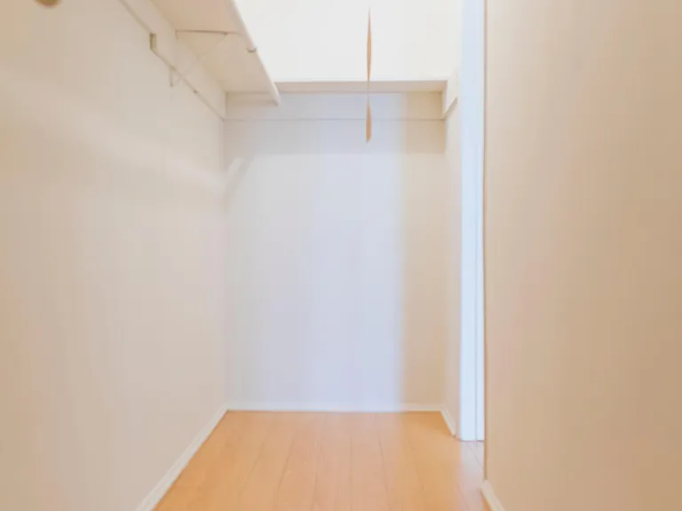 Huge storage closet