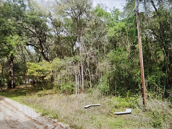 0 Yawn Ave #31, Interlachen, FL 32148