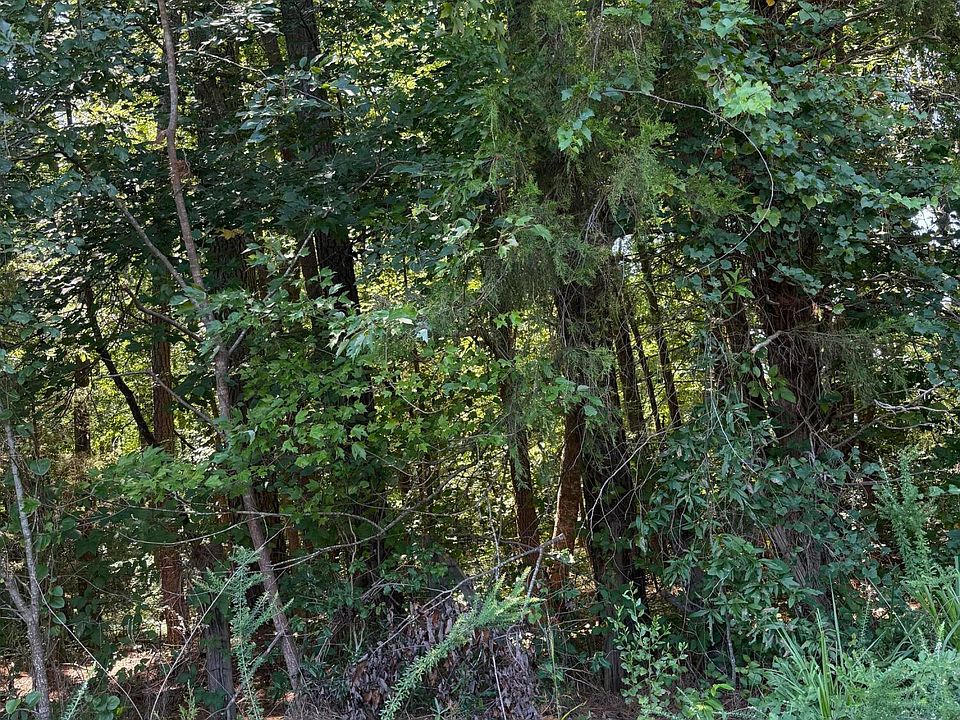 1st image of 0 Williams Farm Rd Lot 6