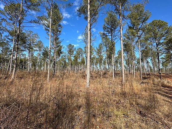 5th image of 3-002A Butler Bridge Rd