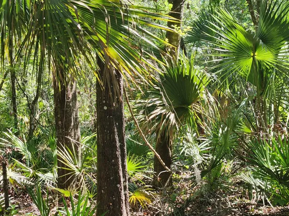 167 NE 396th St, Old Town, FL 32680