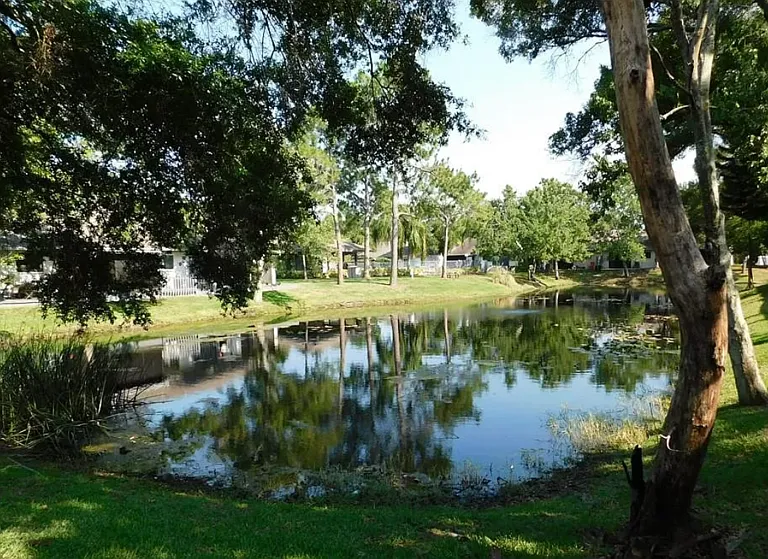 599 Capistrano Ct — Photo 33