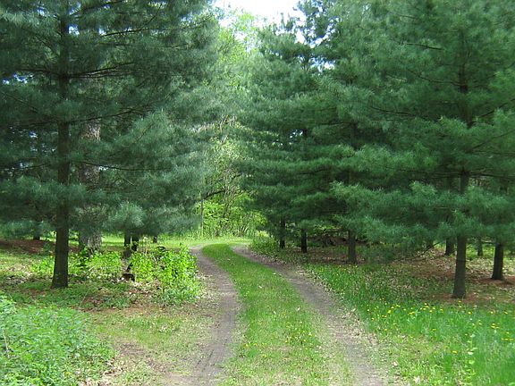 Entrance to property