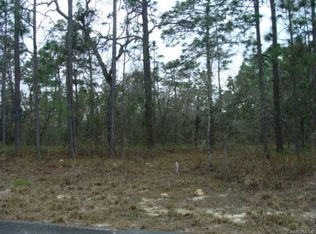 6 Sanders Ct E, Homosassa, FL 34446