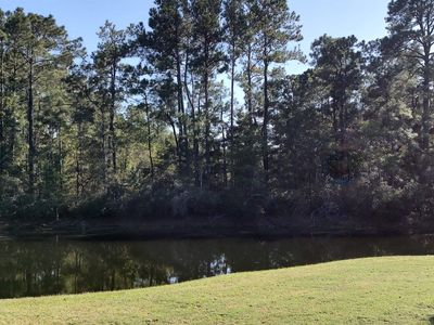 885 Martin Luther King Rd. #3.5 Acres, Pawleys Island, SC, 29585
