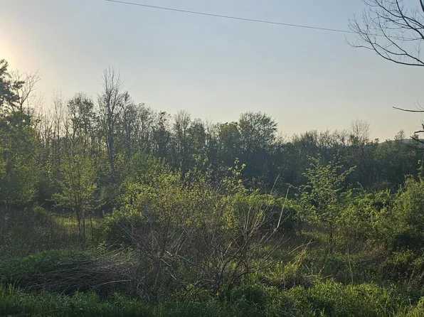 Callapoose Rd, Sterling, PA 18463