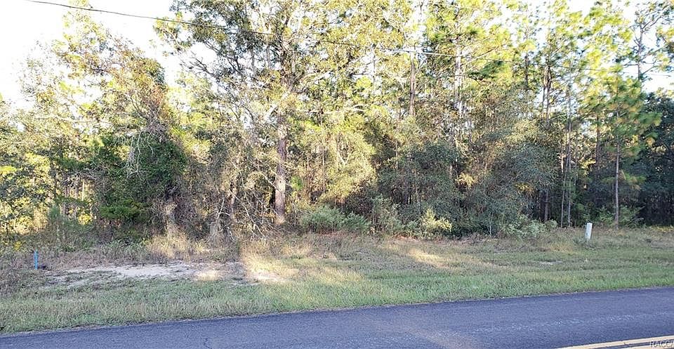 1st image of 90 Corkwood Blvd
