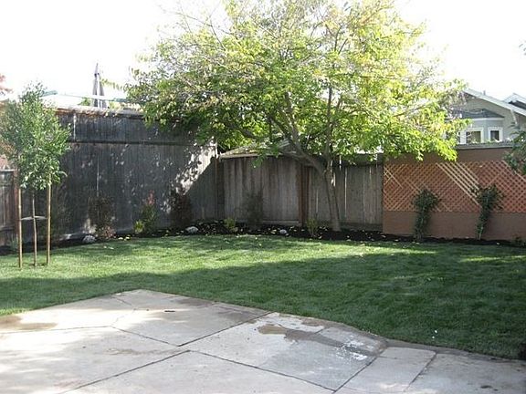 large flat backyard