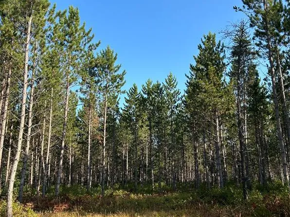 Near East Mail Road, Gordon, WI 54838