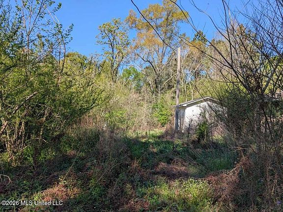 5th image of 29 Gatlin Rd