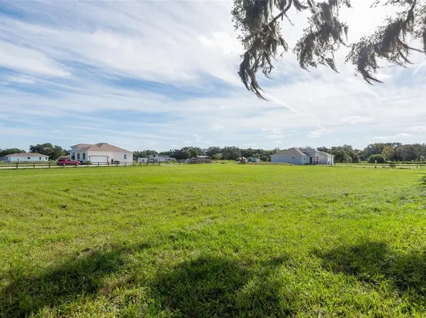 Downing St Lot 1, Dover, FL 33527