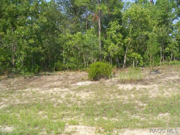 261 E Parker Loop, Citrus Springs, FL 34434