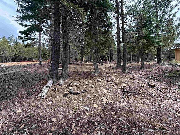 3rd image of 13938 Northwoods Blvd