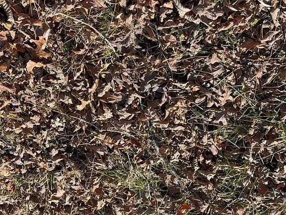 2nd image of 122 Hickory Hollow Rd