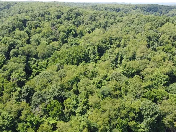 Locust Hill Rd, Chester, WV 26034