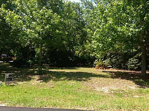 2nd image of Scenic River Dr