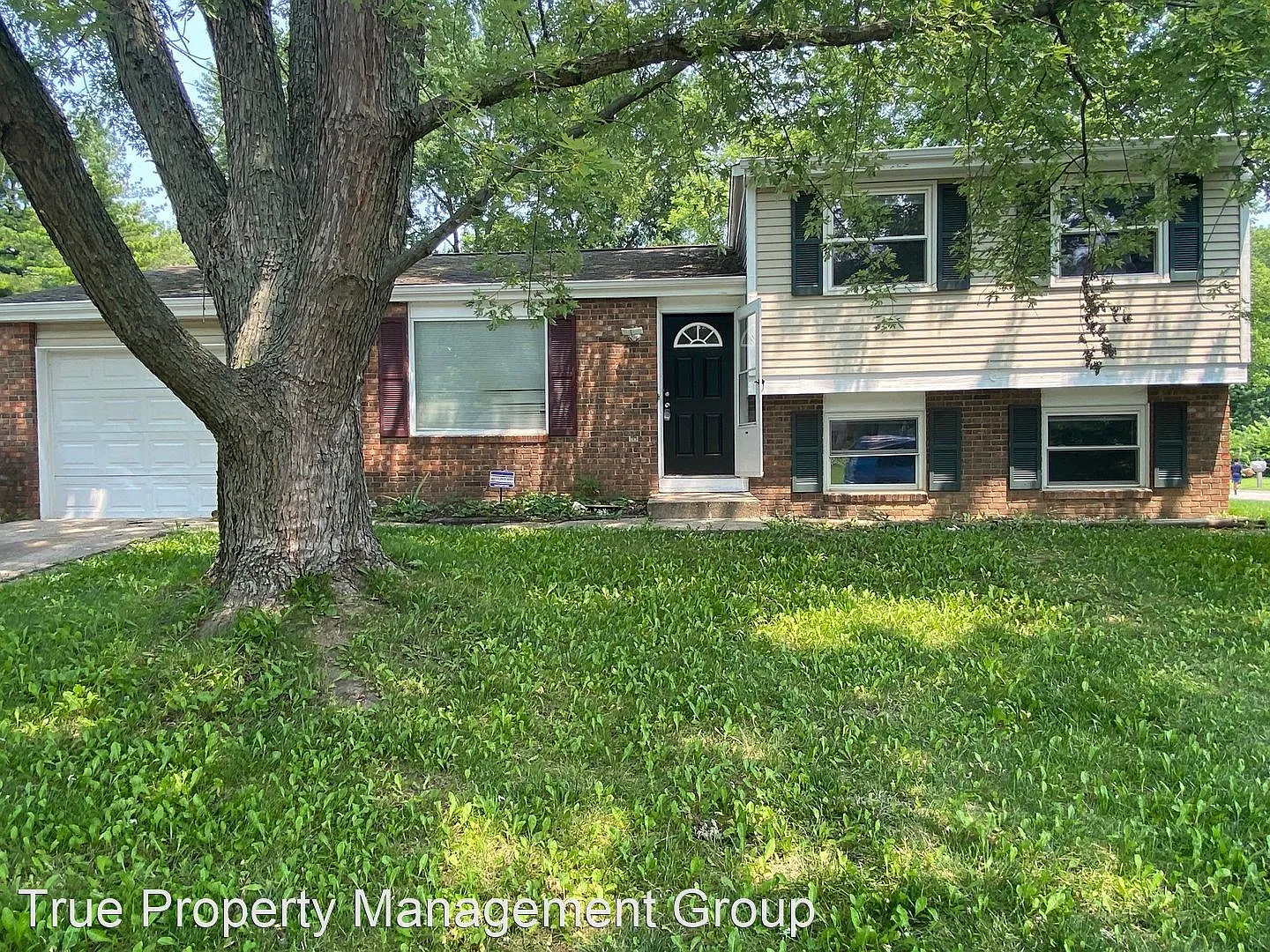 1501 Butternut Ln photo 1