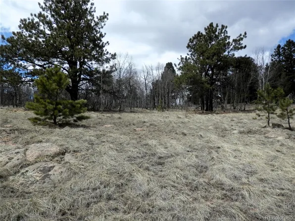 47 Hidden Valley Drive LOT 669, Florissant, CO 80816