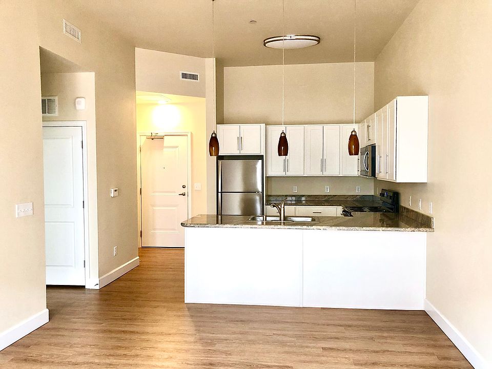 Brand new kitchen, stainless steel appliances (fridge/stove/microwave/dishwasher).