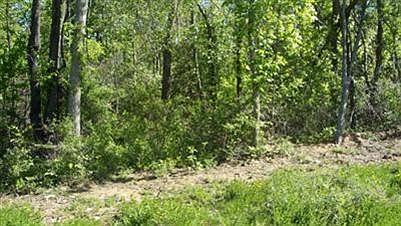 2nd image of 935 Fernwood Dr