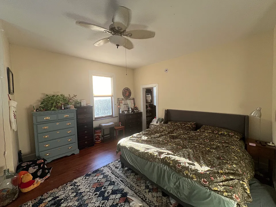Bedroom, walk-out bay window, walk-in closet closet, custom top down bottom up pleated shades!