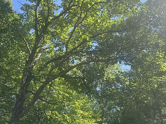 3rd image of Lot 1 271st Street