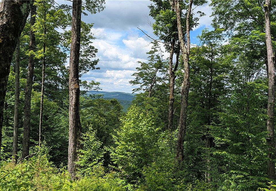 1st image of 285 Davis Ln Lot 5