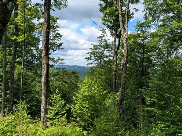 285 Davis Ln Lot 5, Hamden, NY 13782