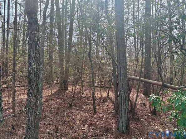 15000 Bradley Bridge Rd, Chesterfield, VA 23838