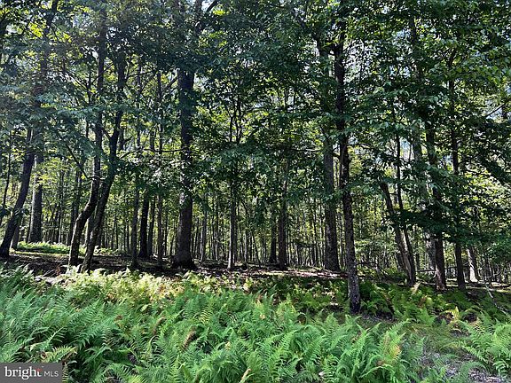 5th image of 112 Spruce Ct Lot 244