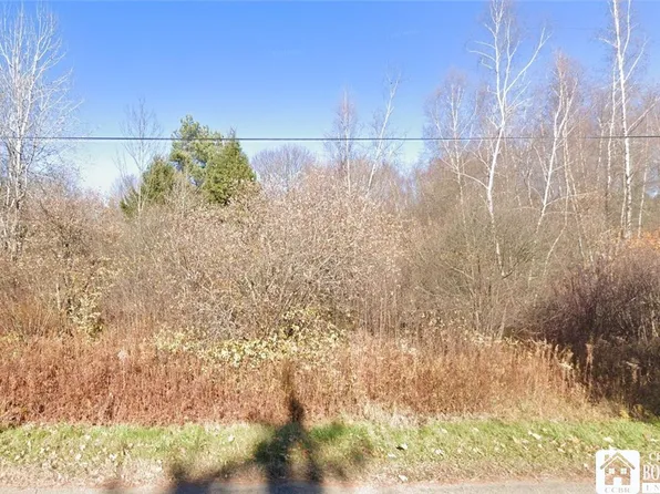 0 Cowing Rd #66, Lakewood, NY 14750