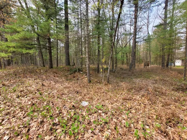 Nature Ln, Ocqueoc, MI 49759