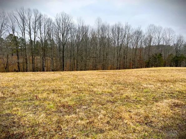 LOT 16 Ralph Spivey Ln, Gainesboro, TN 38562