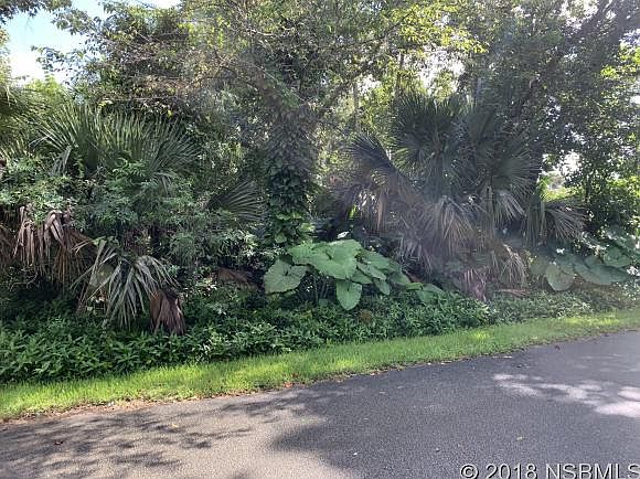 1st image of Palm Dr