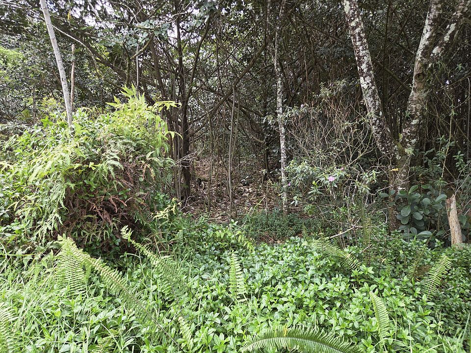 2nd image of 22nd Ave Lot 1226