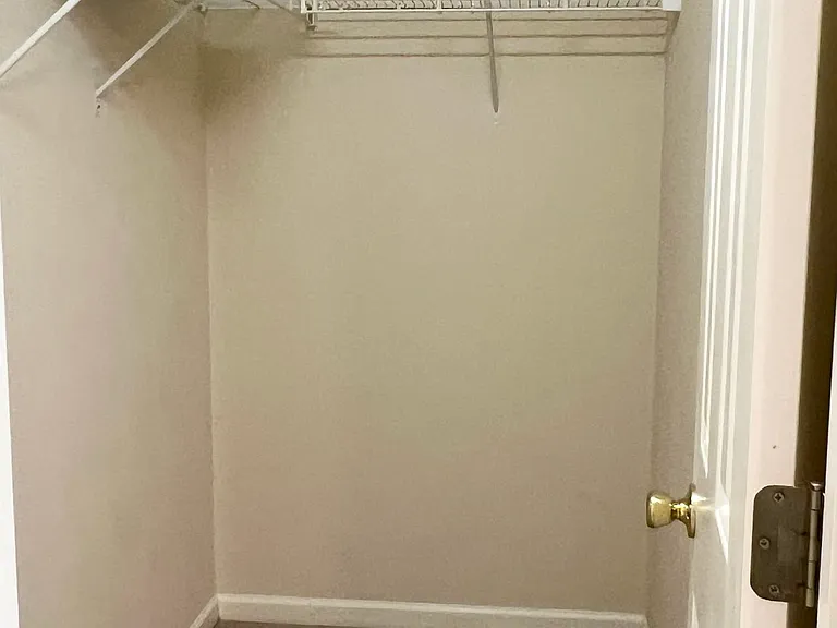 Second Primary Walk-in Closet