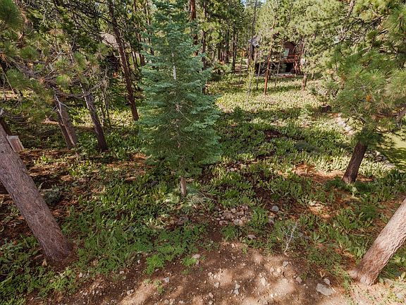 3rd image of 13213 Roundhill Dr