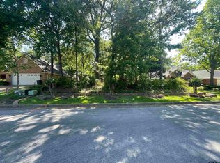 4209 Fillbrook Ln, Tyler, TX 75707