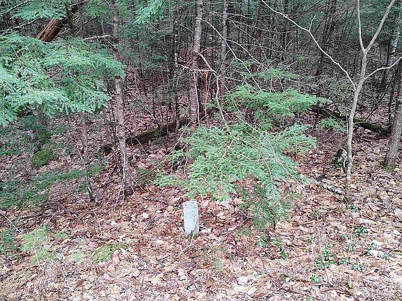 4th image of Lot 2-31-6 Bessie Leavitt Lane