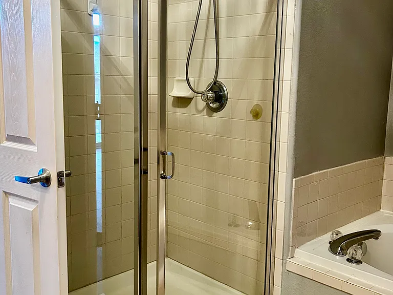 Master bath shower and garden tub.