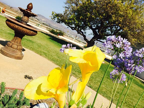 Gardens