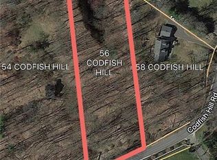 56 Codfish Hill Rd, Bethel, CT 06801