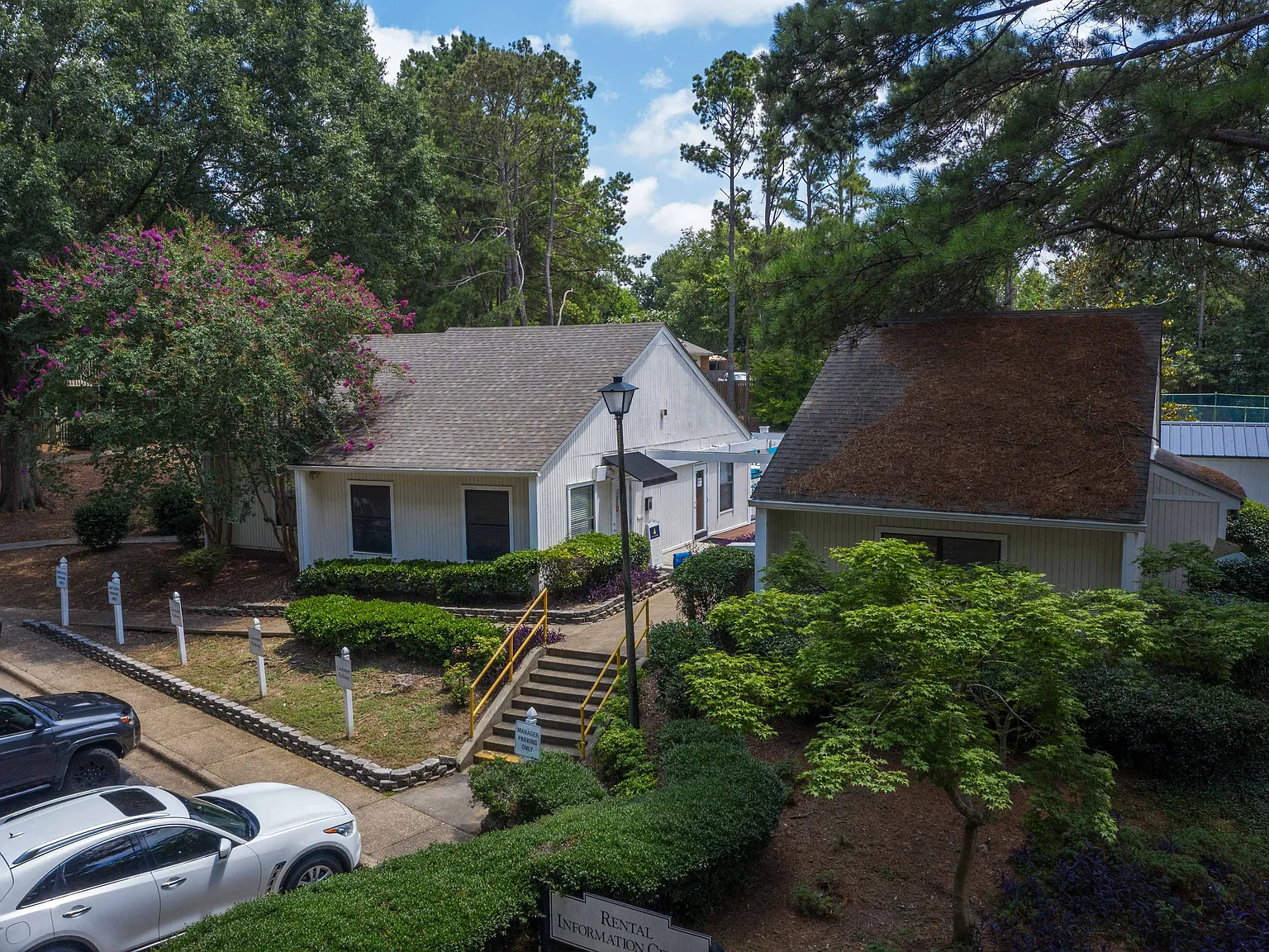 Zelda Pointe — Photo 2