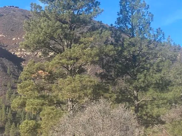 57 Wild Iris, Durango, CO 81301