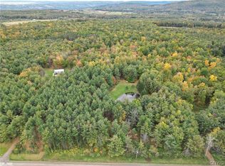 8248 Gallagher Rd, Prattsburgh, NY 14873