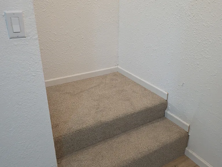 414 N Meldrum St #BASEMENT — Photo 11